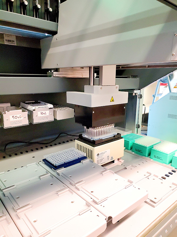 Robotic equipment processes samples