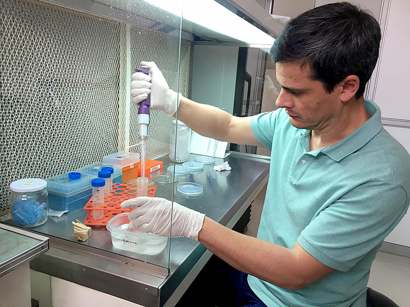 Senior Research Scientist Joaquín Martínez Martínez examines viral samples 