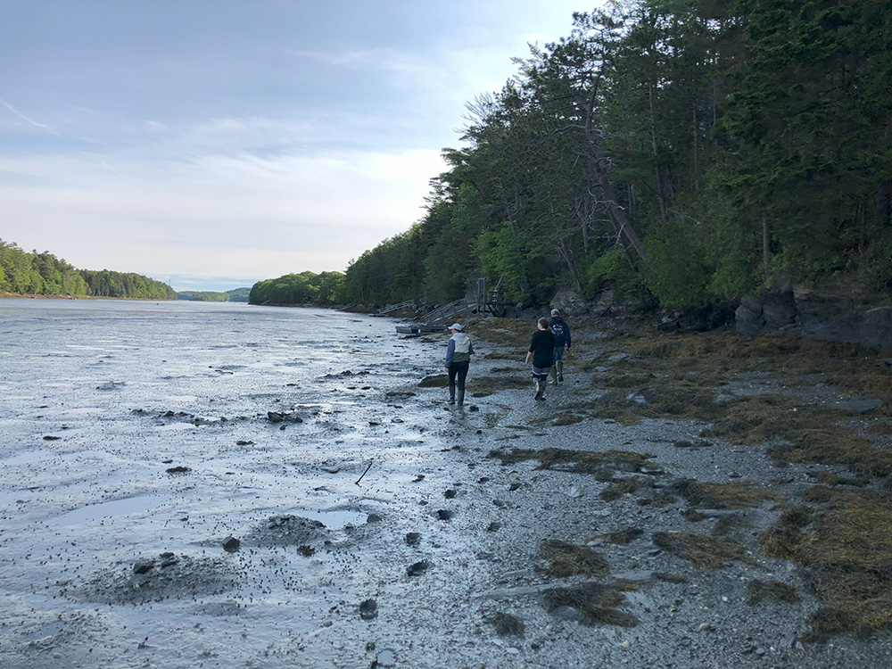 Students walking along a shoreline