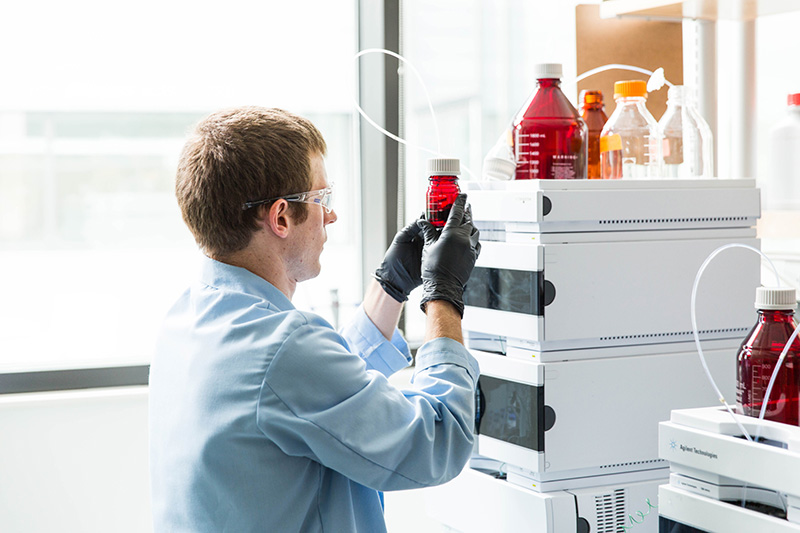 Students in a lab at Bigelow. 