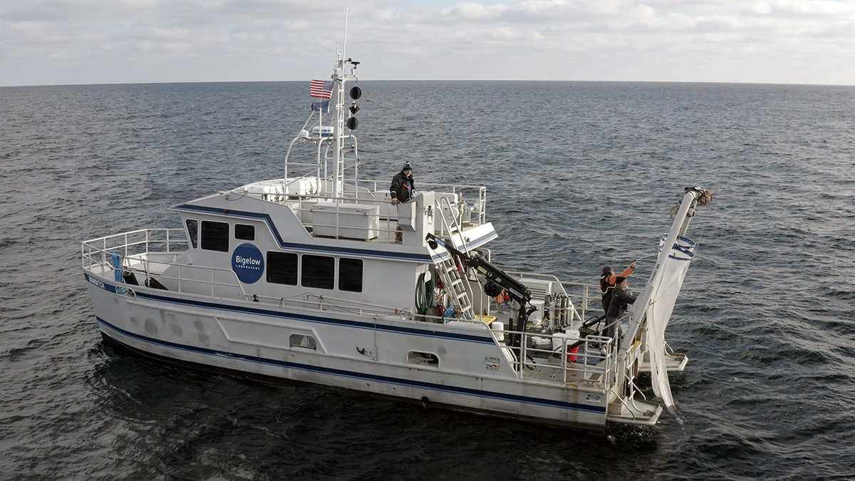 RV Bowditch at sea